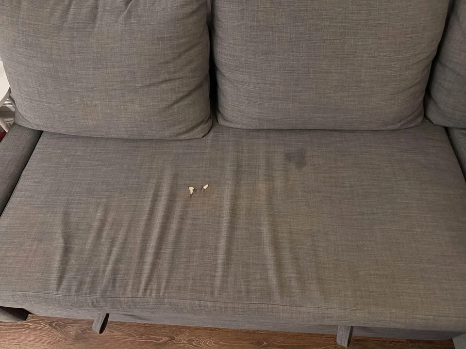 IKEA Couch (with pullout bed) - photo 4