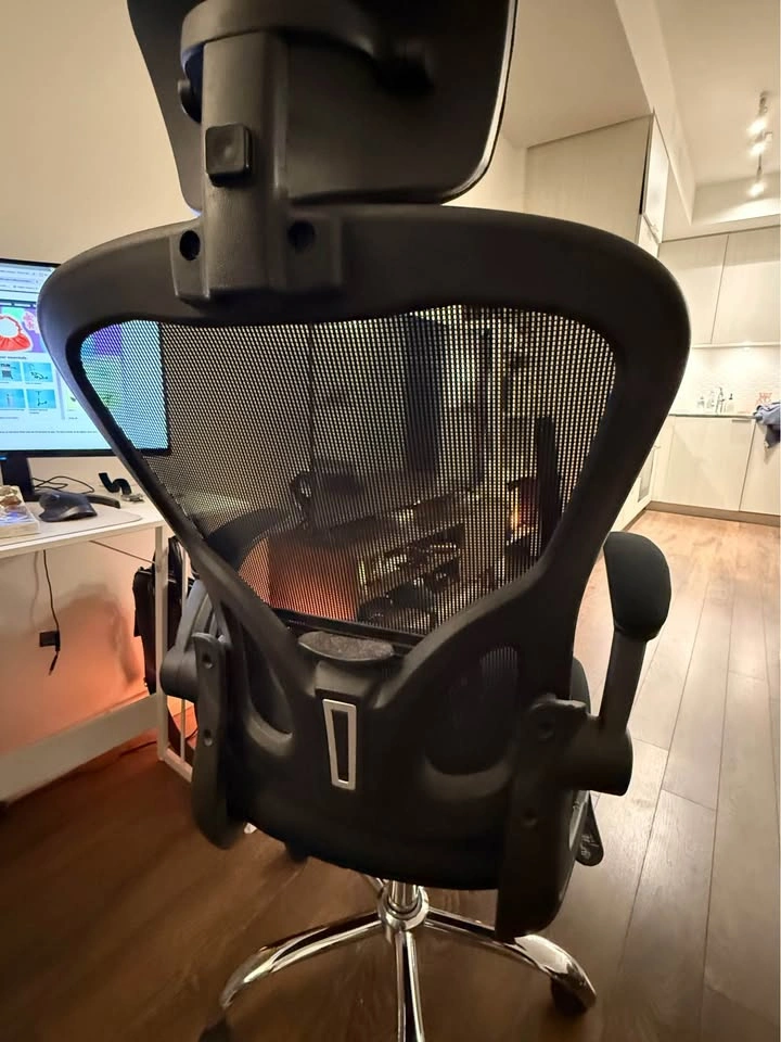 Ergonomic Mesh Office Chair with Headrest - $60! - photo 3