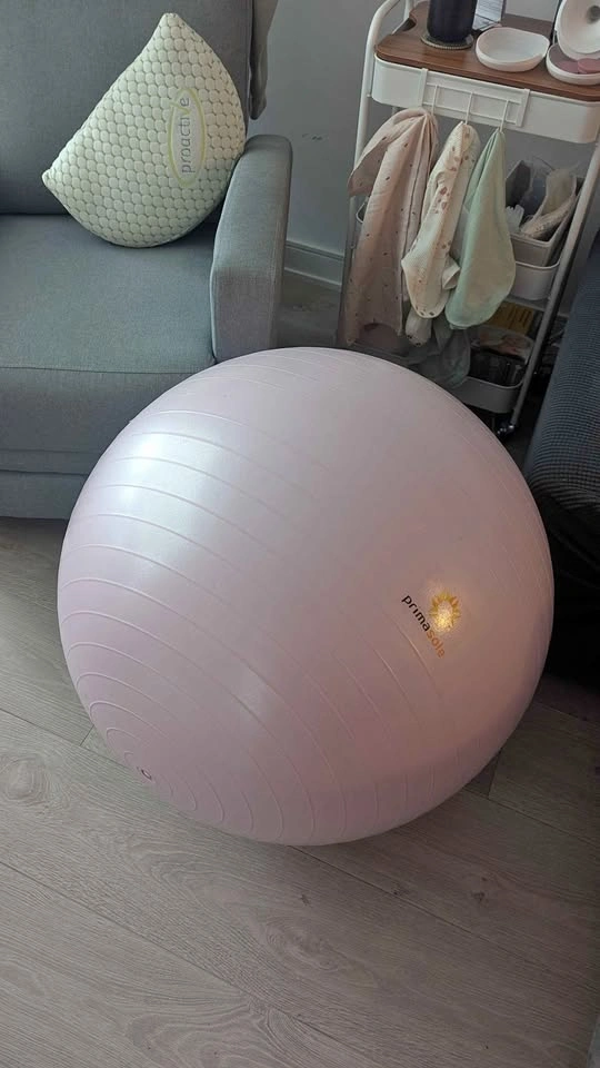 Pregnancy Exercise Ball