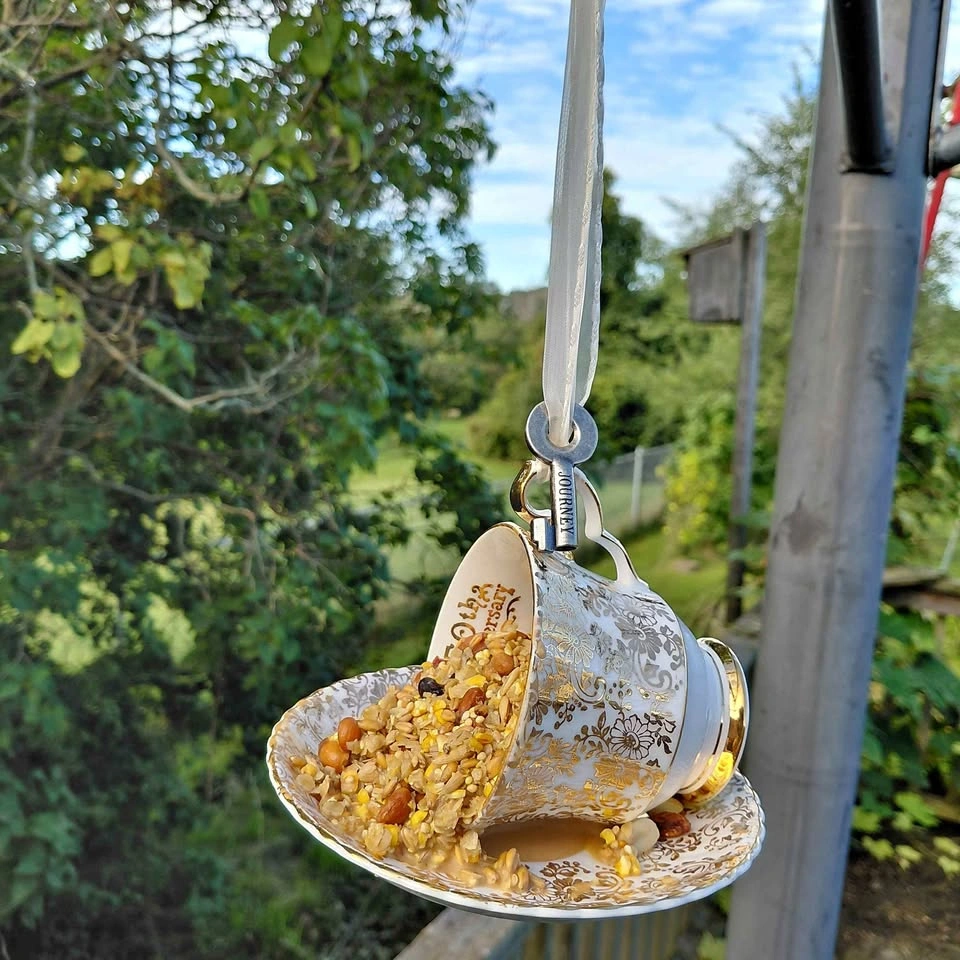 Vintage Teacup Bird Feeder