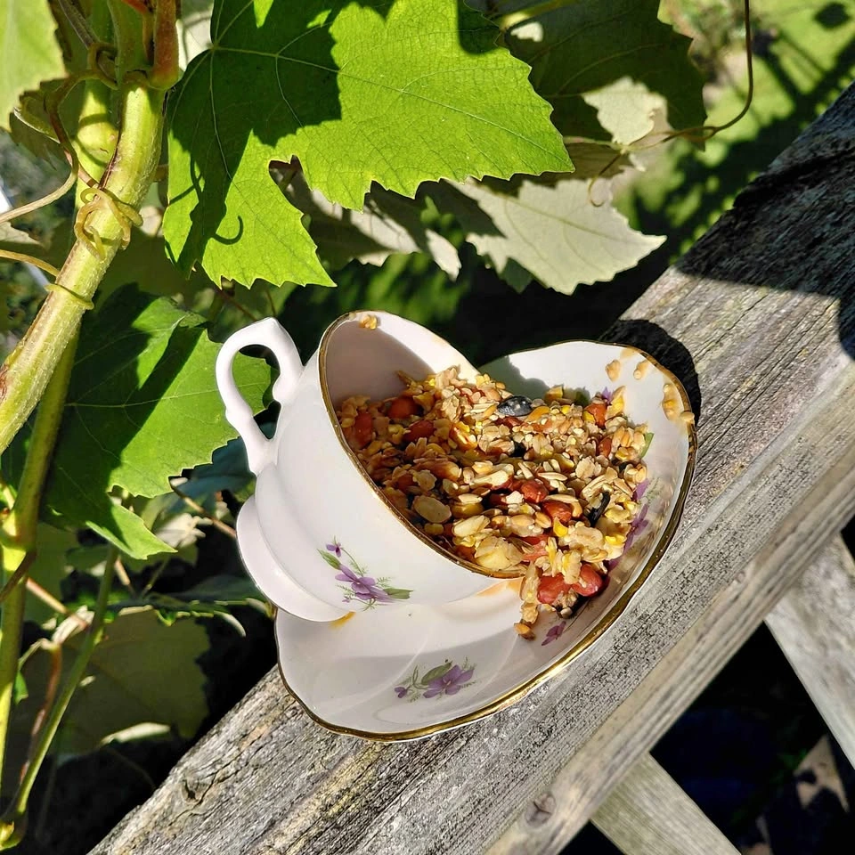 Vintage Teacup and Saucer Bird Feeder