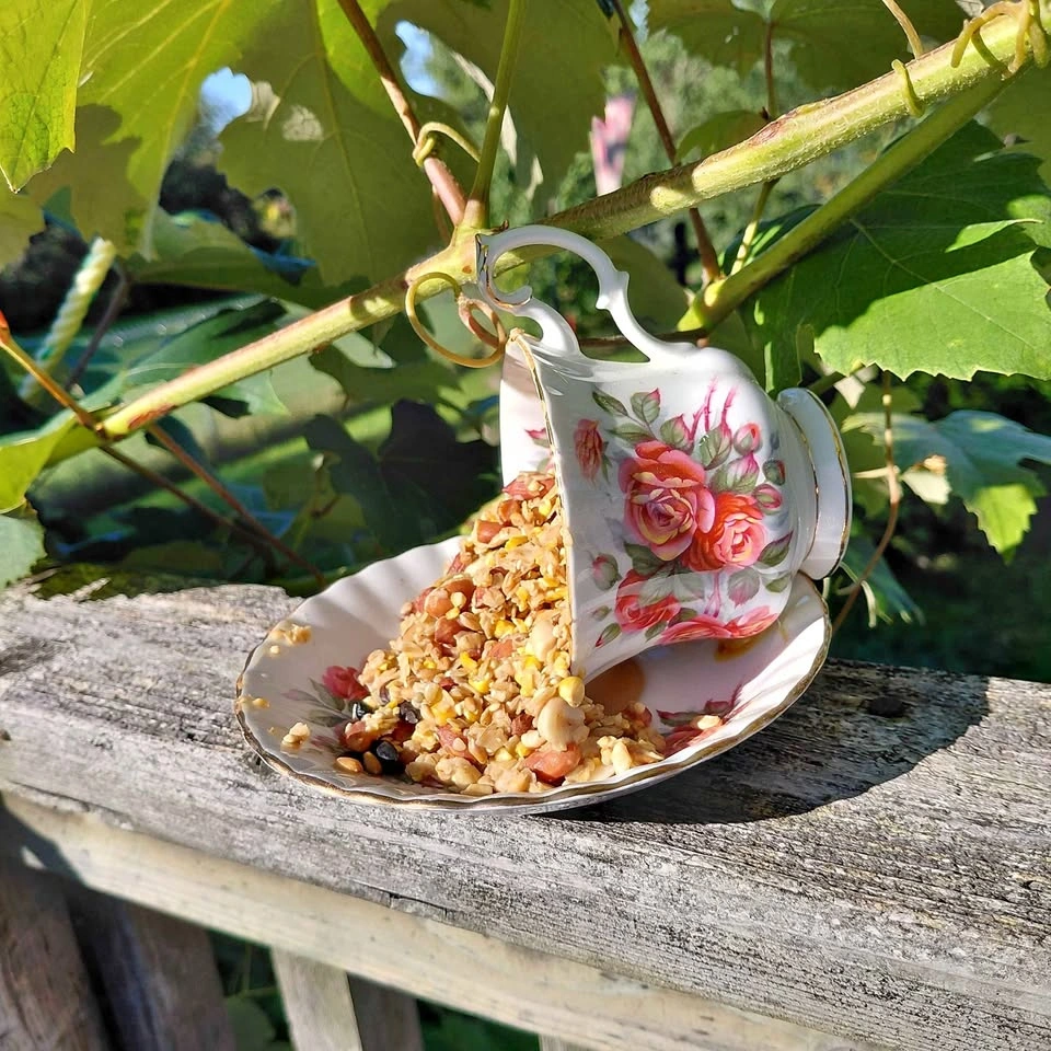 Vintage Teacup and Saucer Bird Feeder