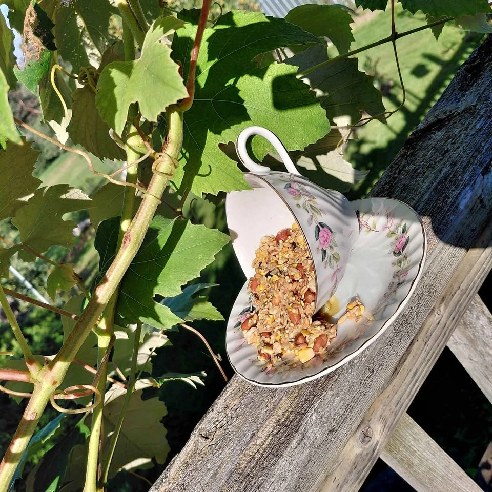 Vintage Teacup and Saucer Bird Feeder