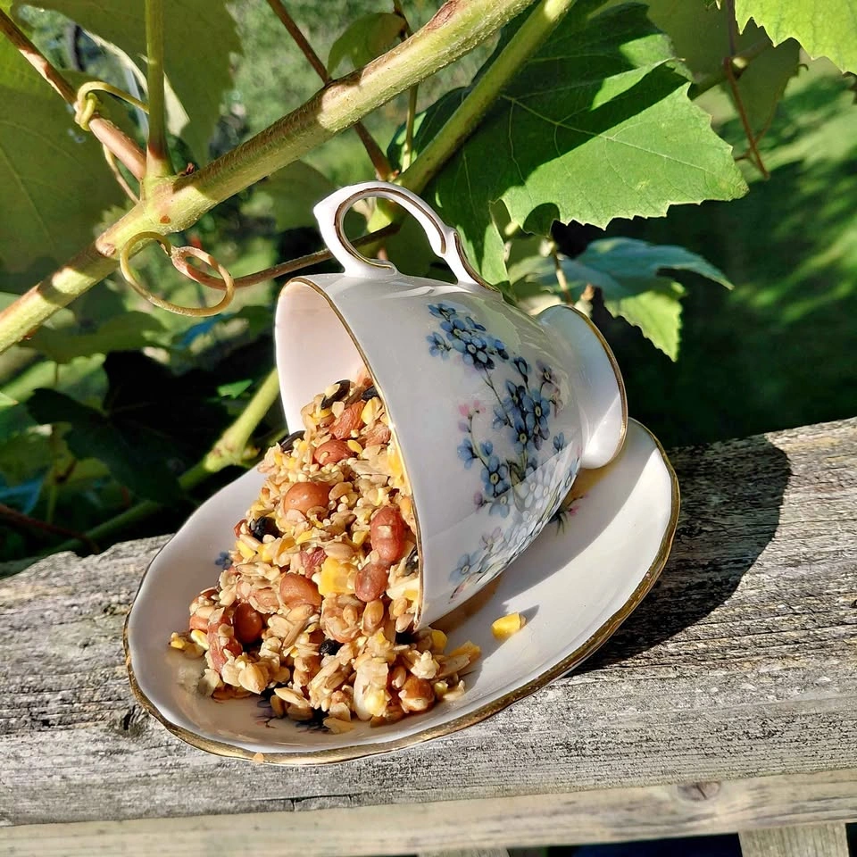 Vintage Teacup and Saucer Bird Feeder