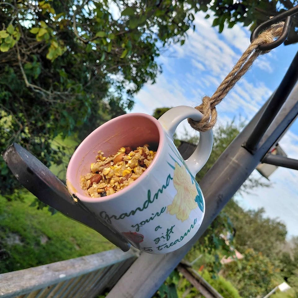 Coffee Cup Bird Feeder