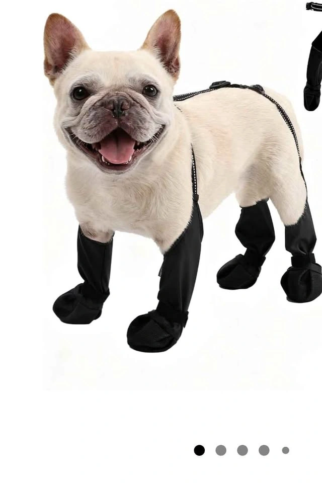 BECEMURU Dog Rain Boots for Small Dogs