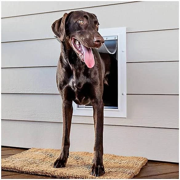 Pet Safe Wall Entry Door - Large