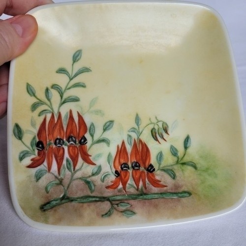 West Australian Sturt Pea Hand Painted Flowers on Small Trinket