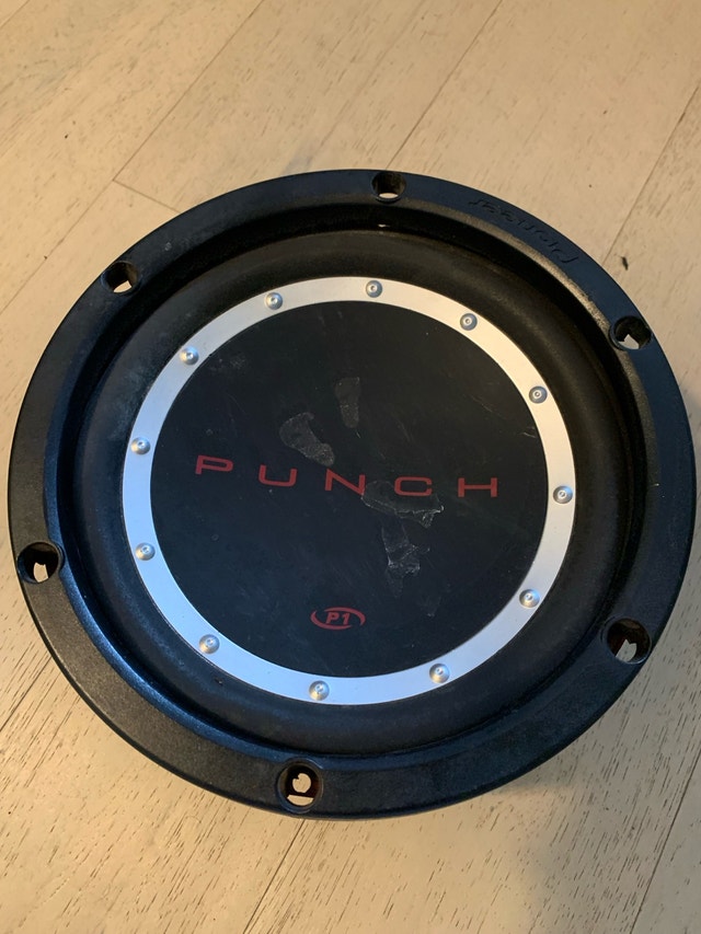 Punch 10 Inch Subwoofer