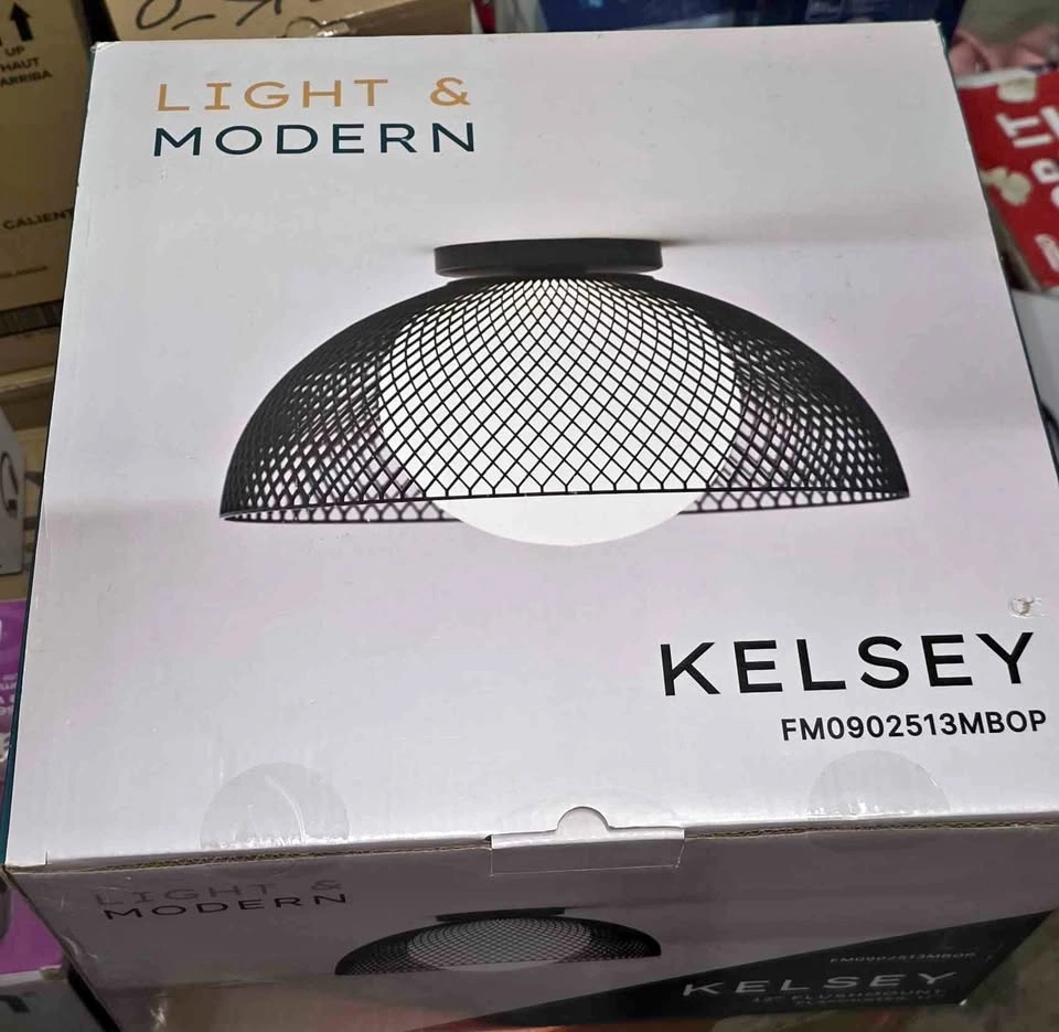 Brand new sealed Kelsey 12" Flushmount Light Fixture