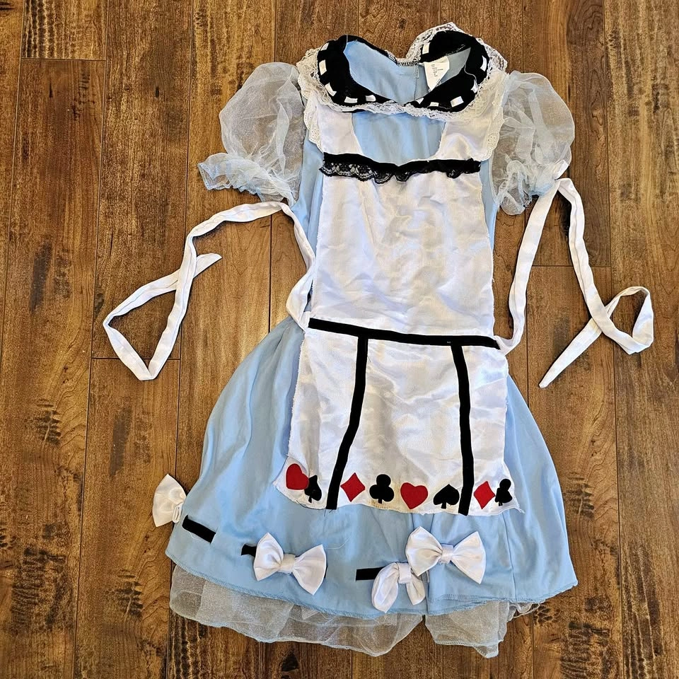 Alice in Wonderland Costume Dress Size L (12-14)