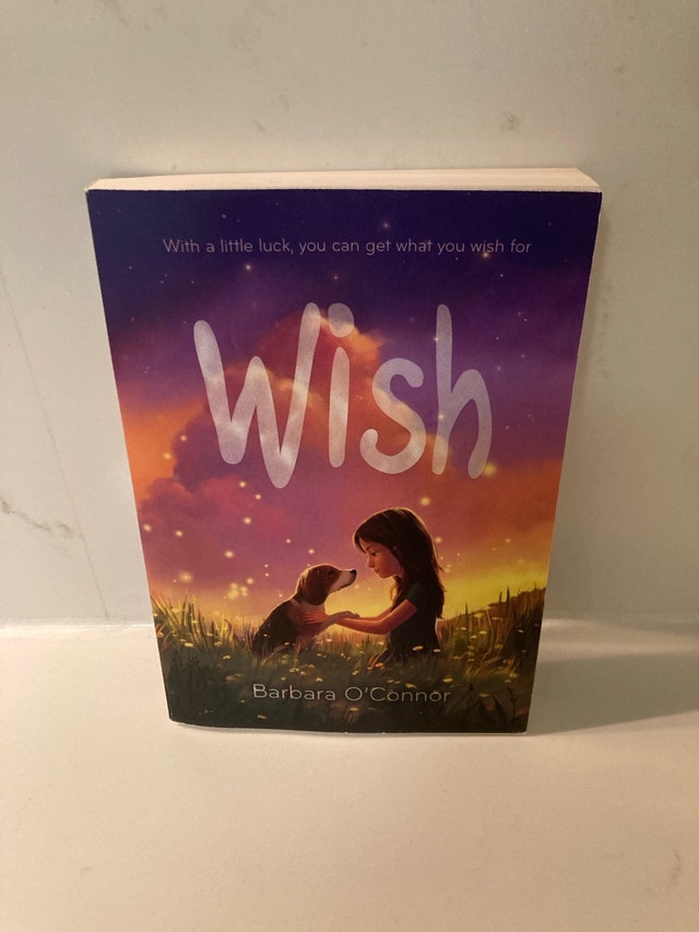 🏈 Wish by Barbara O'Connor