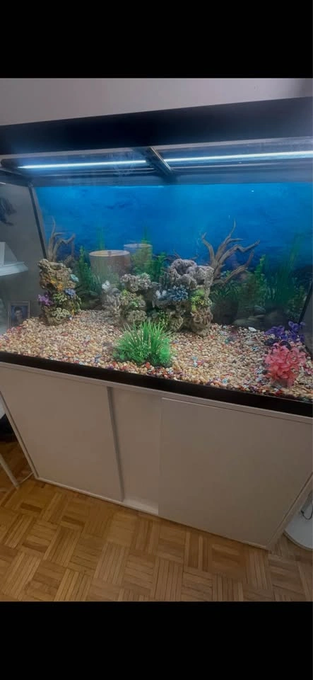 90 gallon aquarium with stand - photo 2