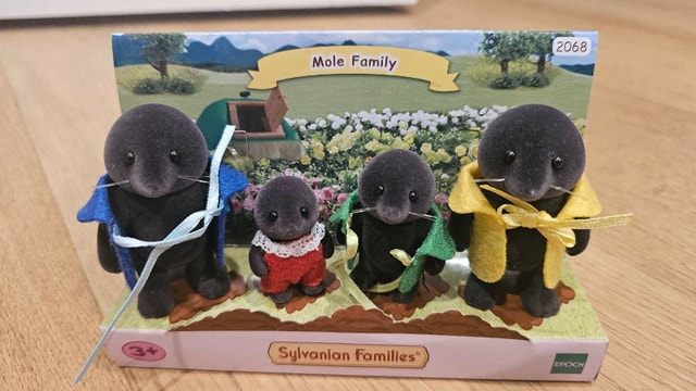 Sylvanian Families (Calico Critters) Limited Edition Mole Family - photo 2