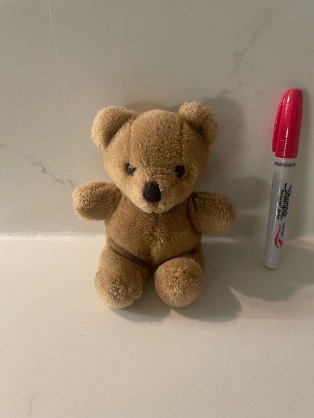 🏈Small Plush Teddy Bear