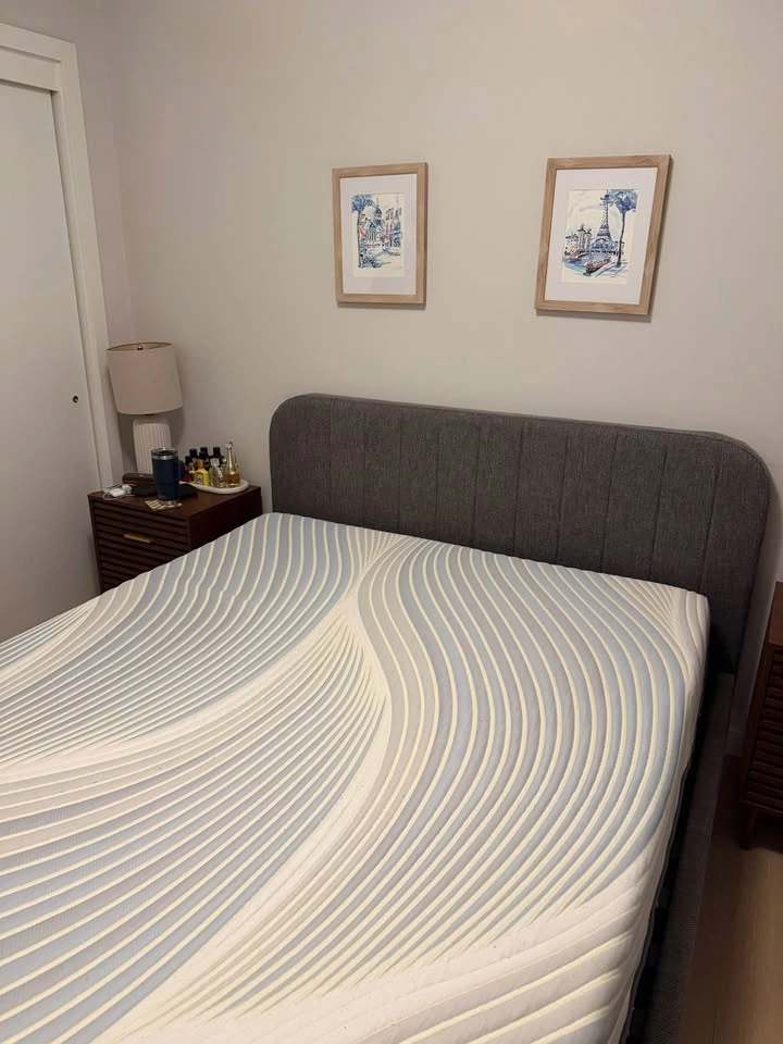 Bloom Sol Queen Mattress - photo 2