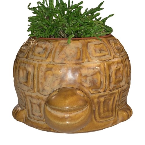 McCoy Turtle Planter Brown USA - photo 2