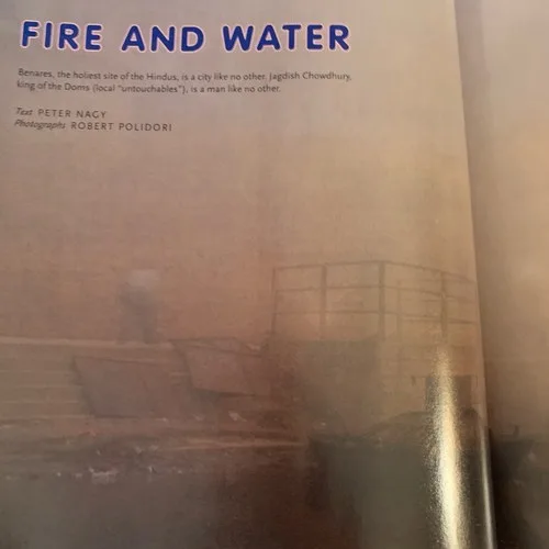 Nest Magazine Summer 2004 American Landscape Issue #25 - photo 4