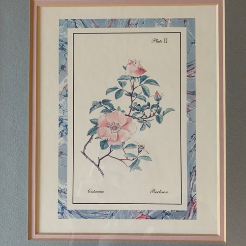 Vintage Botanical Flower Art Prints Gold Grey One Size - photo 3