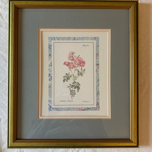 Vintage Botanical Flower Art Prints Gold Grey One Size - photo 4