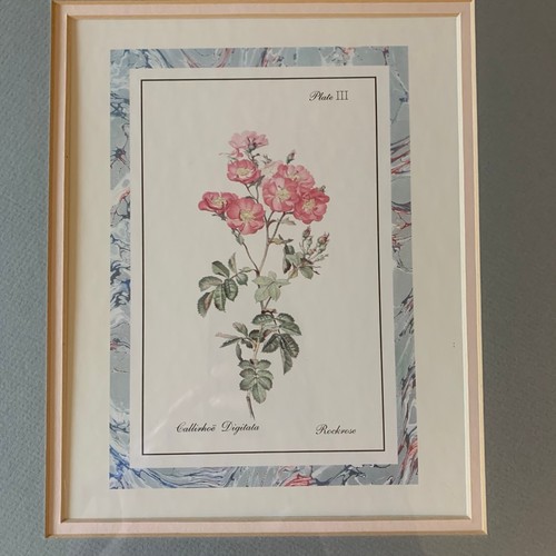 Vintage Botanical Flower Art Prints Gold Grey One Size - photo 5