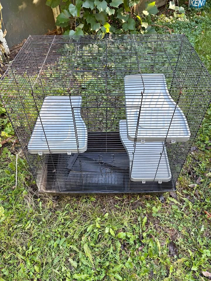 Small Critter Cage