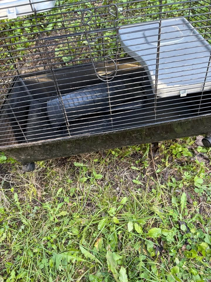 Small Critter Cage - photo 3