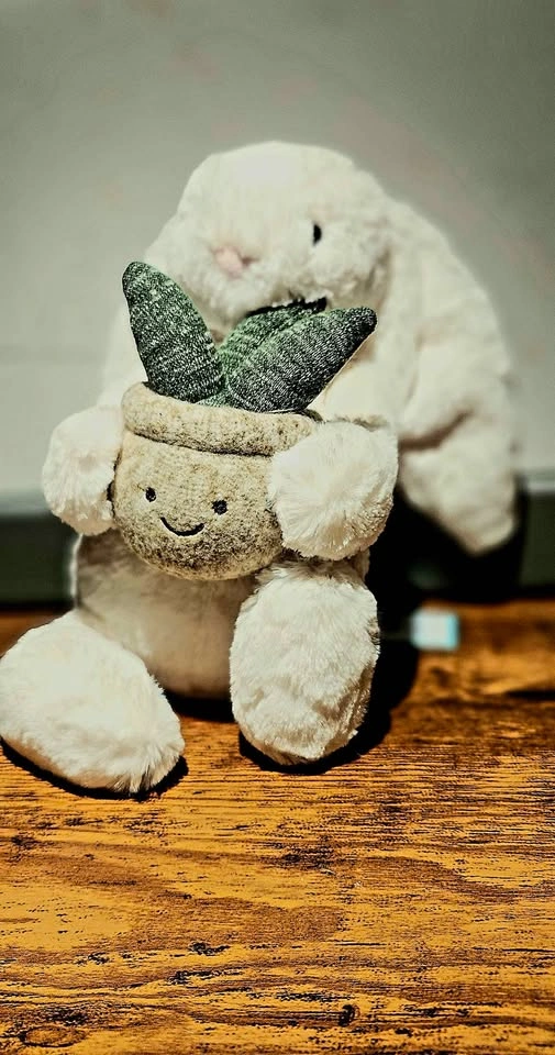 Brand New Jellycat Plush Collection – NWT (30% Off Retail!) - photo 5