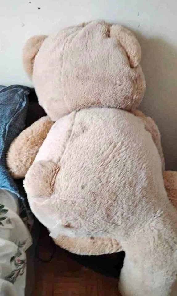 Big teddy