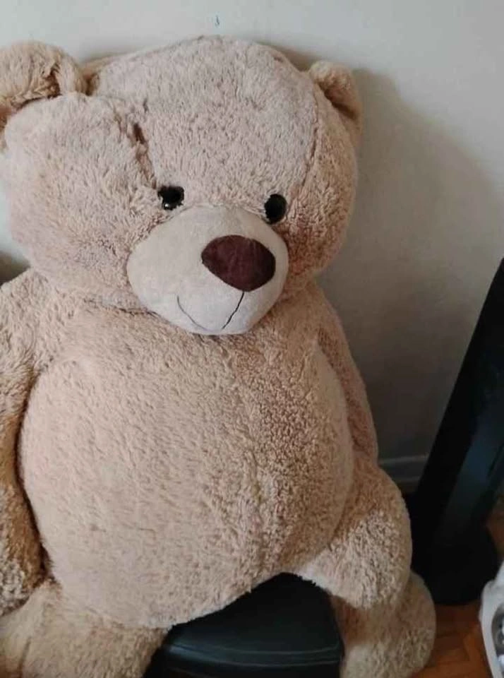 Big teddy - photo 2