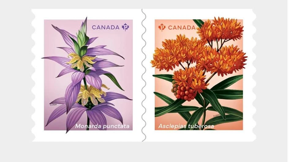 Canada Post Wildflowers Coil of 50 Permanent Stamps