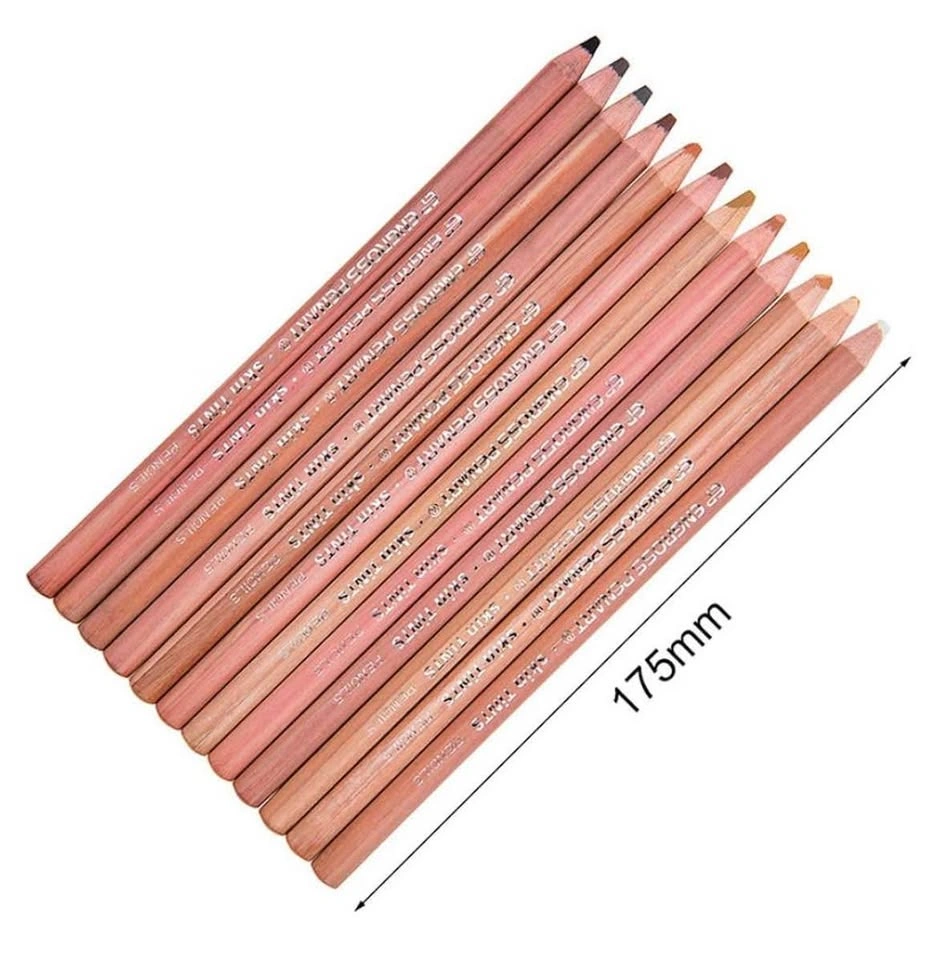 12 Professional Skin Tone Soft Pastel Pencils - photo 2
