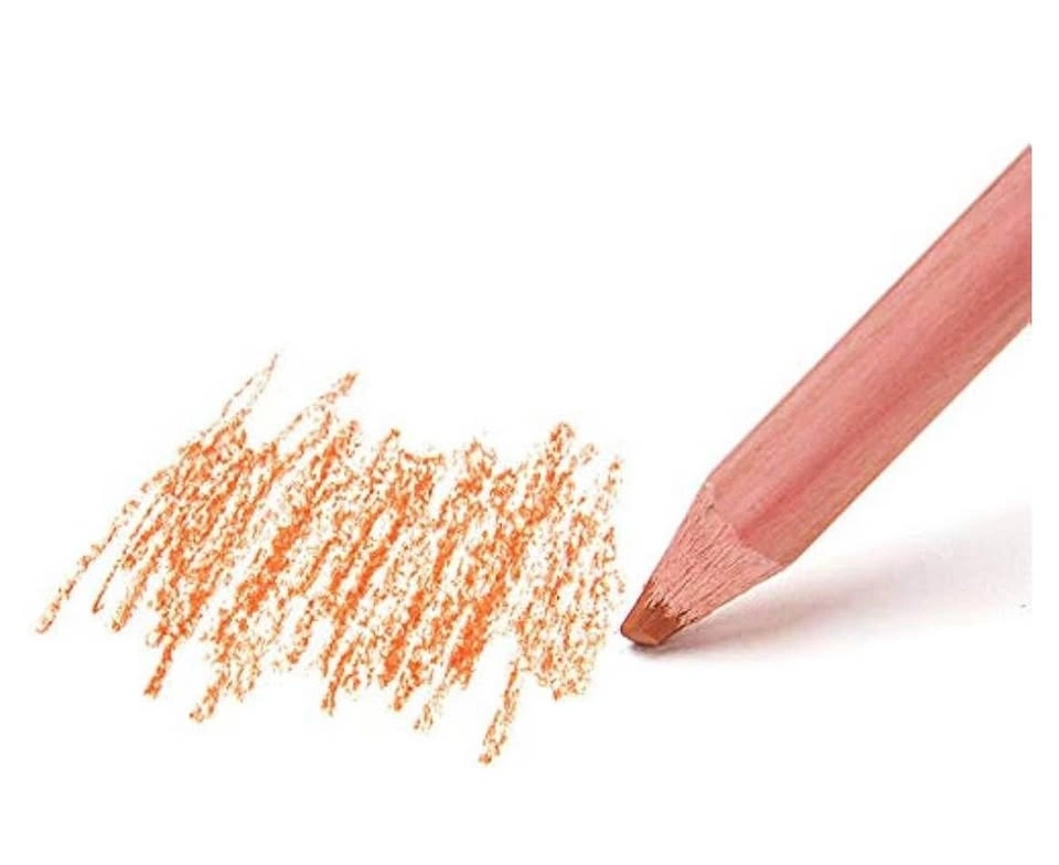 12 Professional Skin Tone Soft Pastel Pencils - photo 4