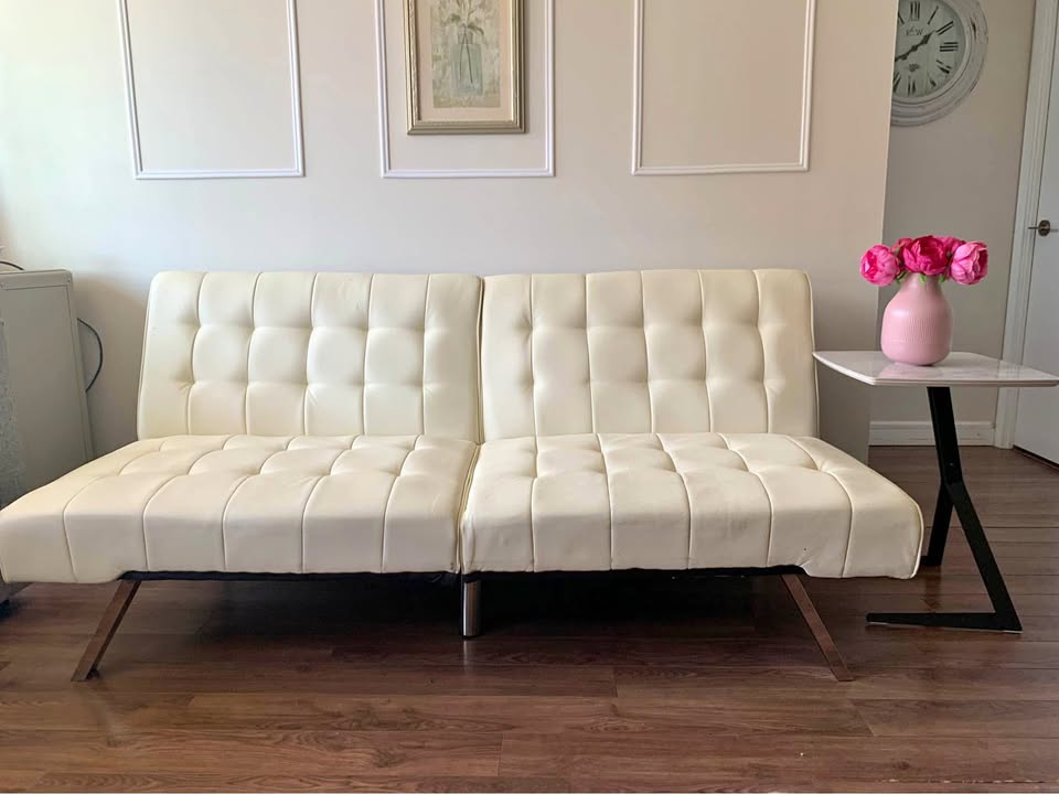 Twin size sofa bed