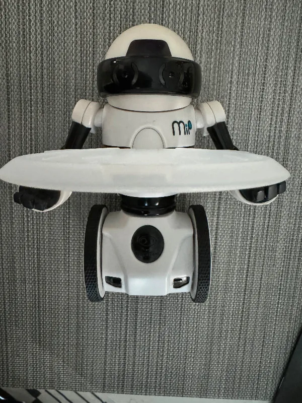 MiP interactive robot image indicator(4)