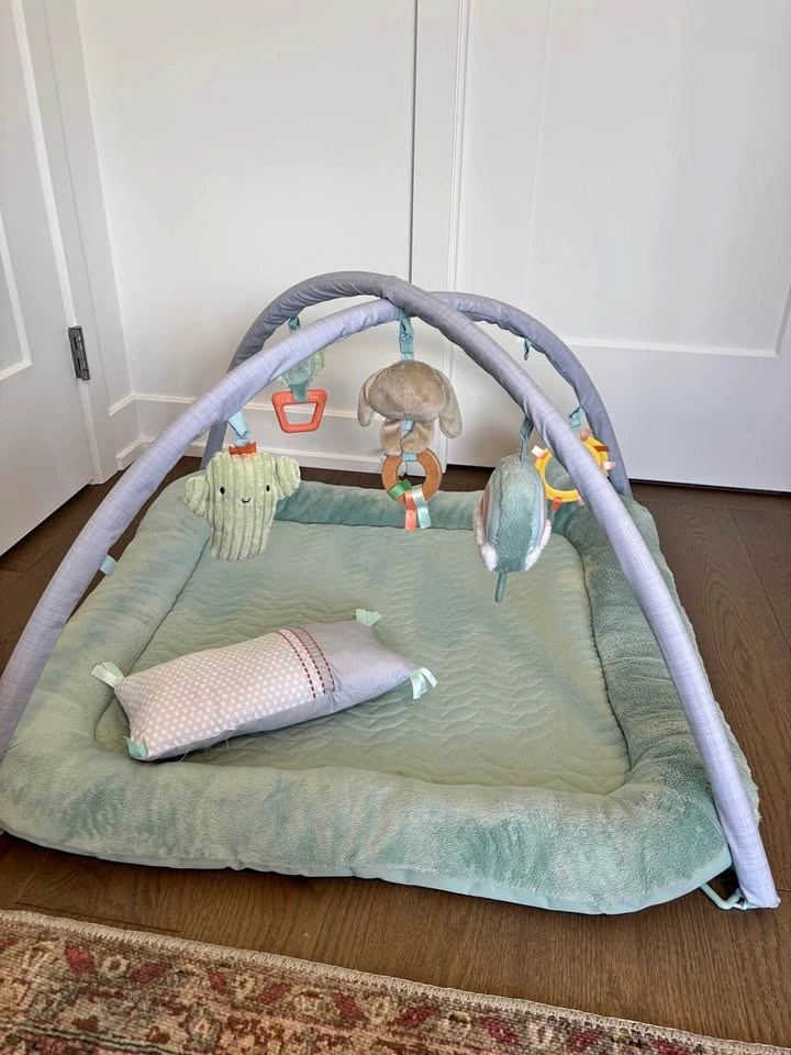 Ingenuity Calm Springs Plush Activity Gym