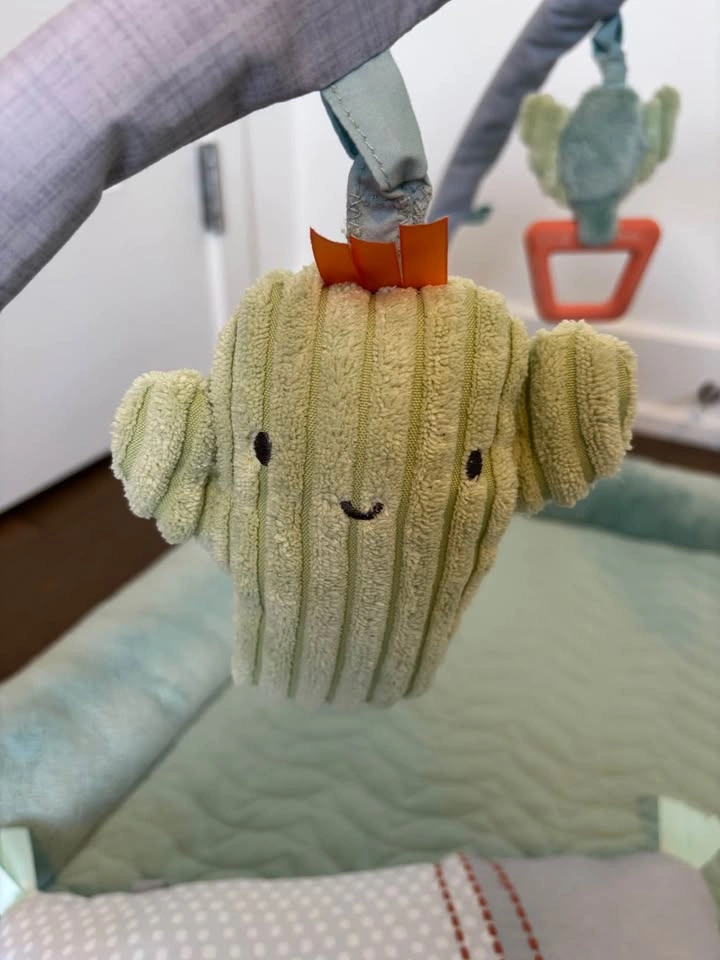 Ingenuity Calm Springs Plush Activity Gym - photo 3