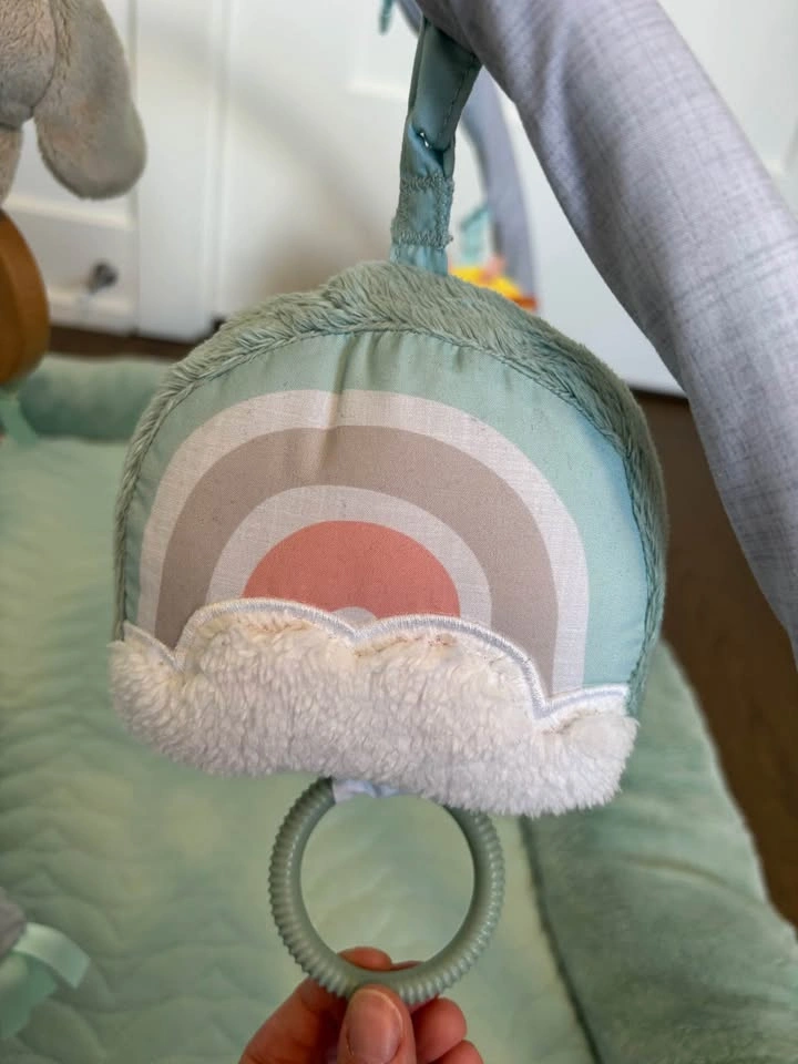 Ingenuity Calm Springs Plush Activity Gym - photo 4