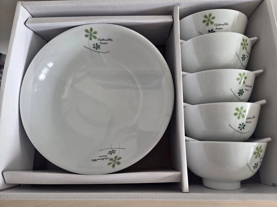 9 Pc Dinnerware Set
