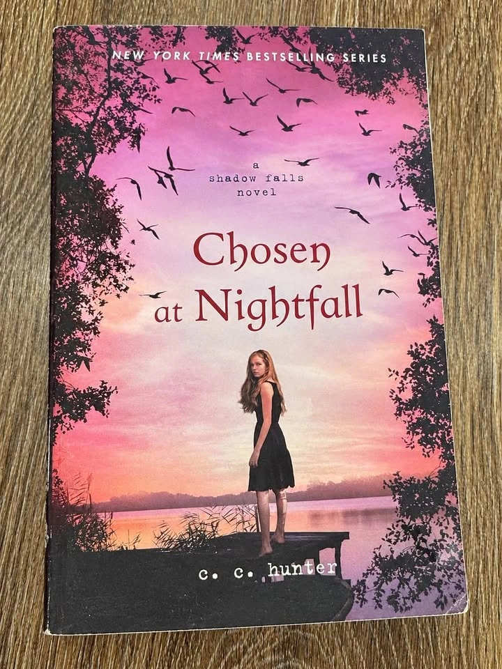 📚 C.C. Hunter Shadow Falls Book Collection – 10 Books - photo 5