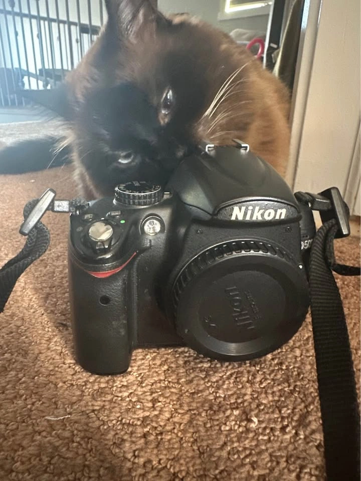 Nikon D5000 - photo 4
