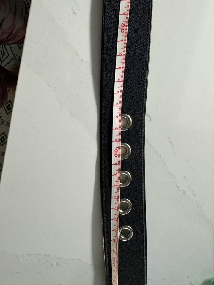 Coach Unisex Belt - photo 4