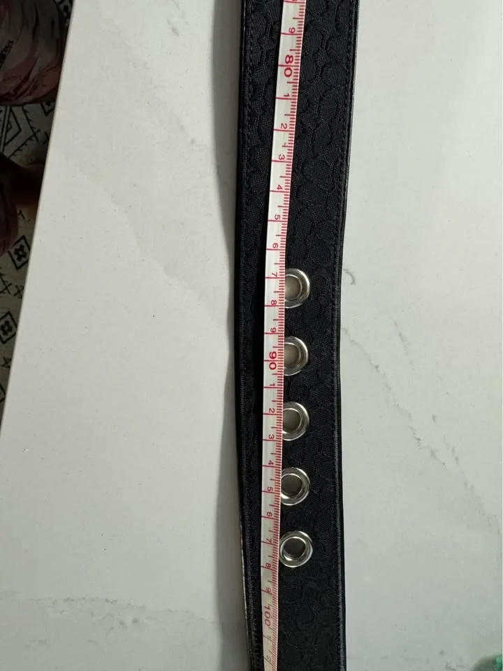 Coach Unisex Belt image indicator(4)