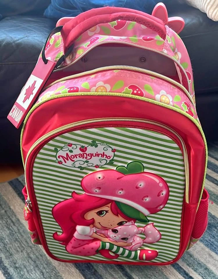 Kids luggage with wheels