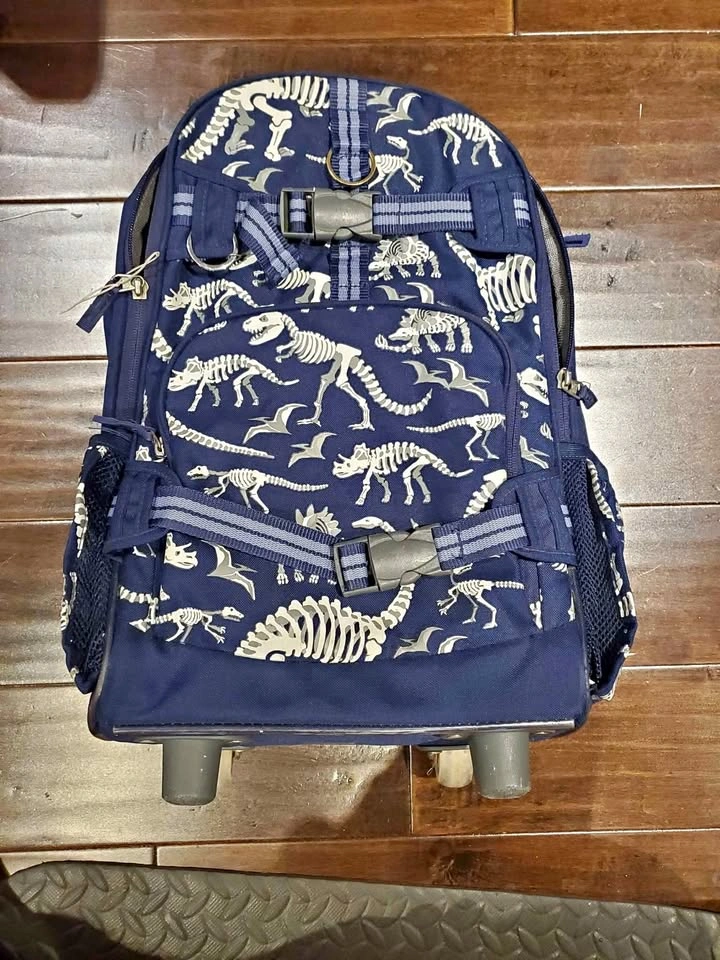 Pottery Barn Rolling Backpack and matching Lunch Box