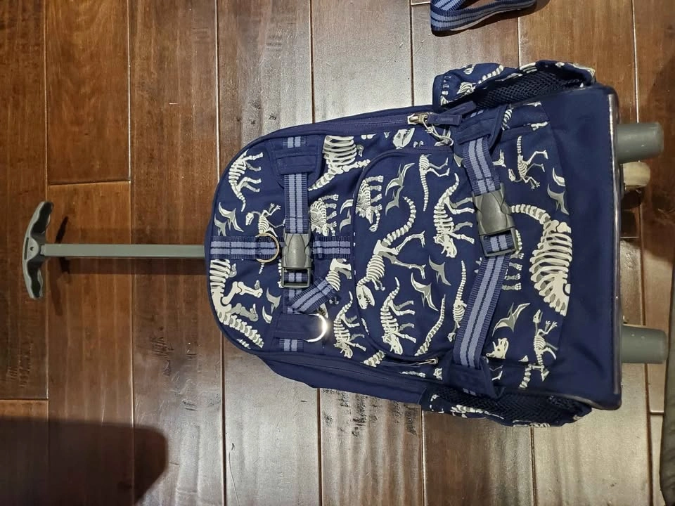 Pottery Barn Rolling Backpack and matching Lunch Box - photo 5