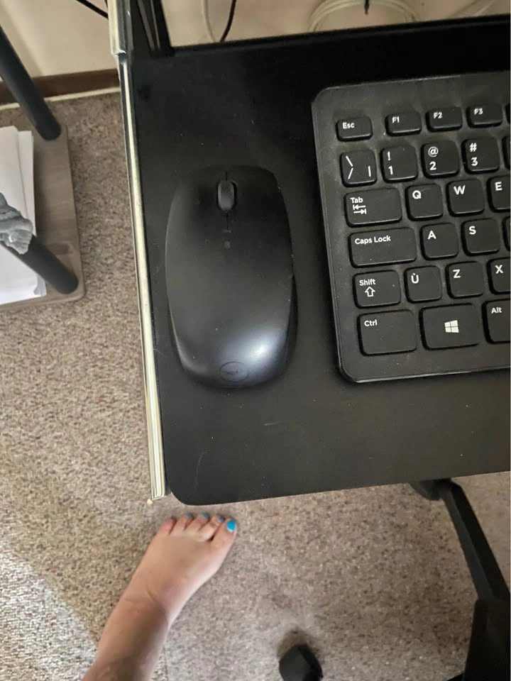 Dell all in one computer - photo 5