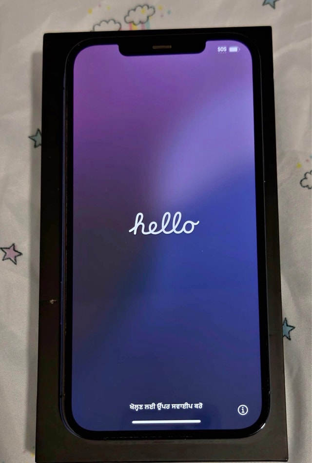Apple iPhone 12 Pro Max - 256GB - Unlocked