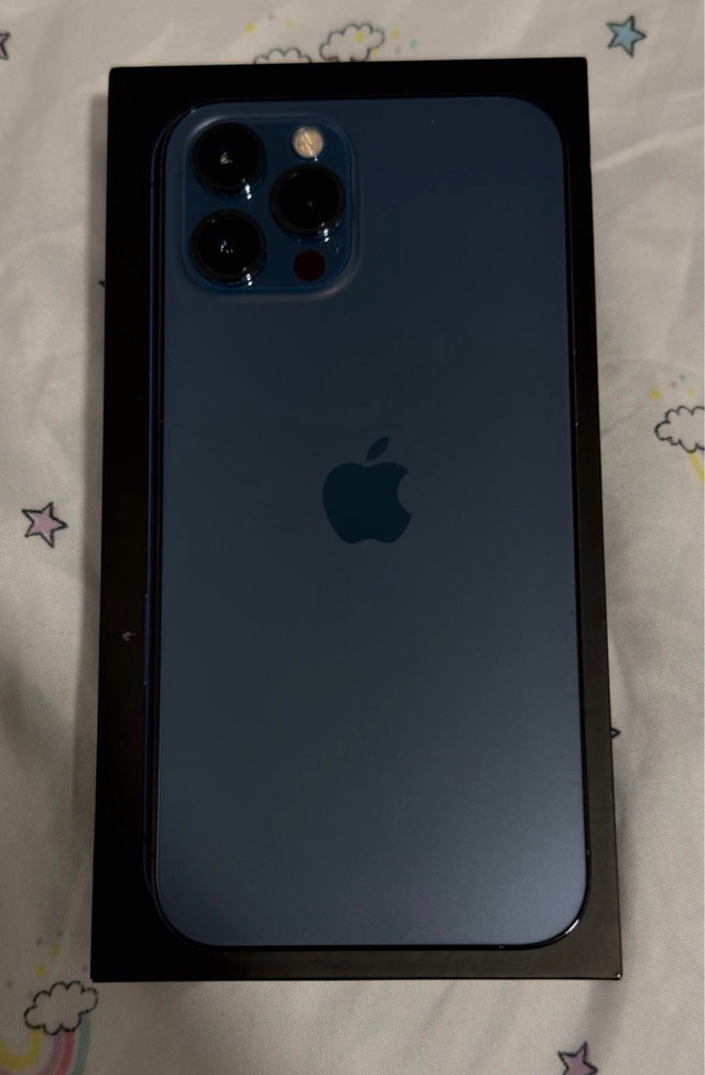 Apple iPhone 12 Pro Max - 256GB - Unlocked - photo 2