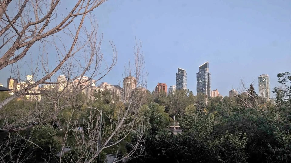 1 Bed 1 Bath - Apartment